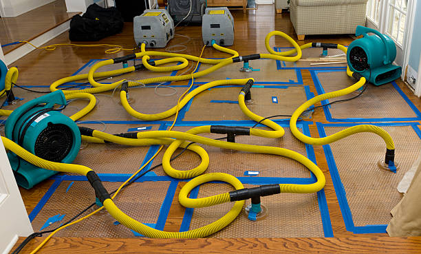 Professional Storm Water Damage Restoration technician working in Kingsport, TN